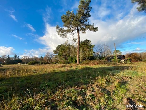 Terrain 7 500 m² Saint Morillon