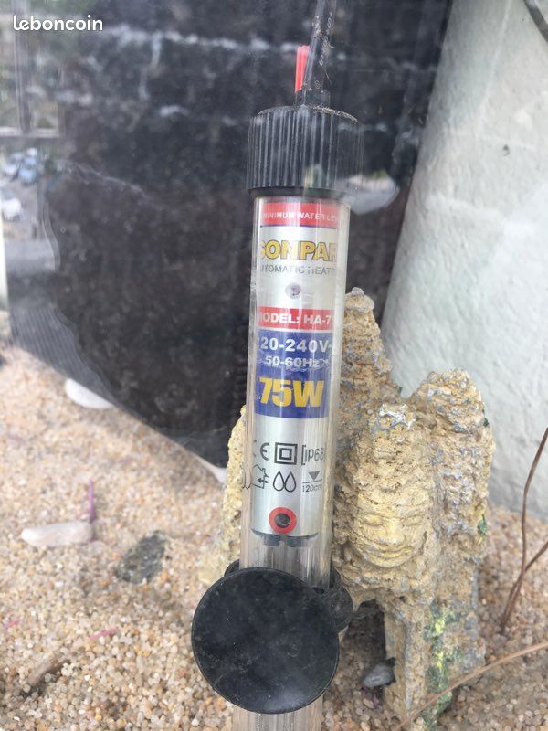 Aquarium (image 1)