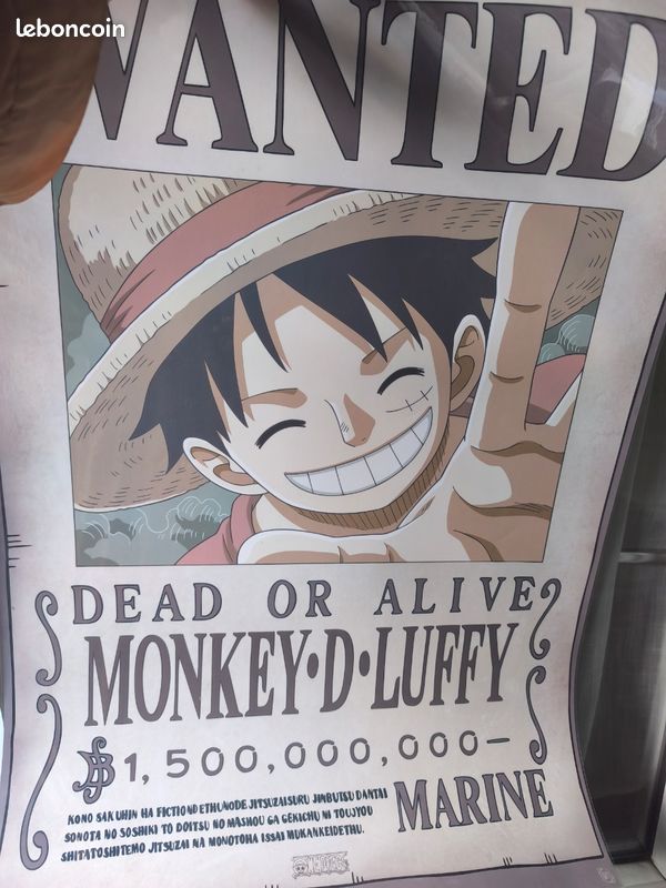 Grand poster One Piece (image 1)