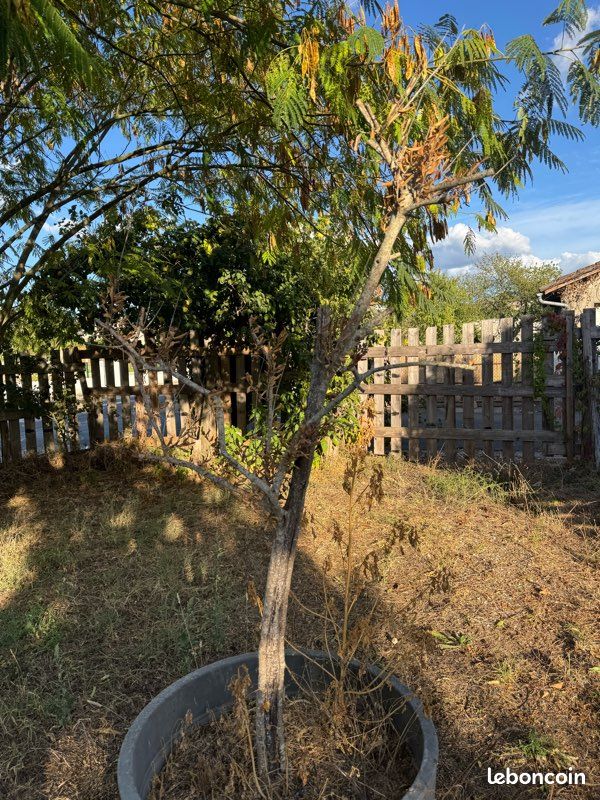 Maison 5 pièces 100 m² · à Saint-Robert · 100 m² · 149 000 €