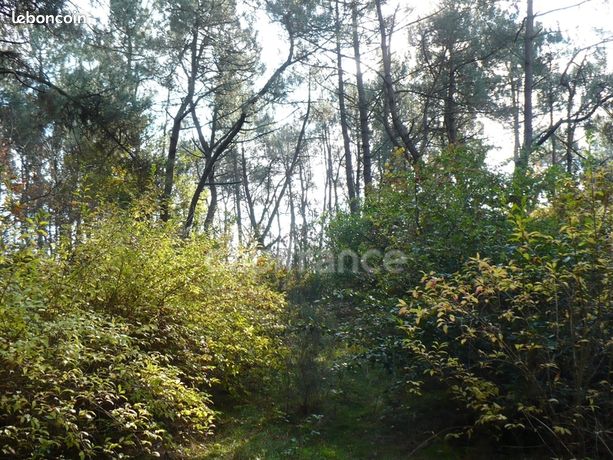 Terrain 14 360 m² Nivillac