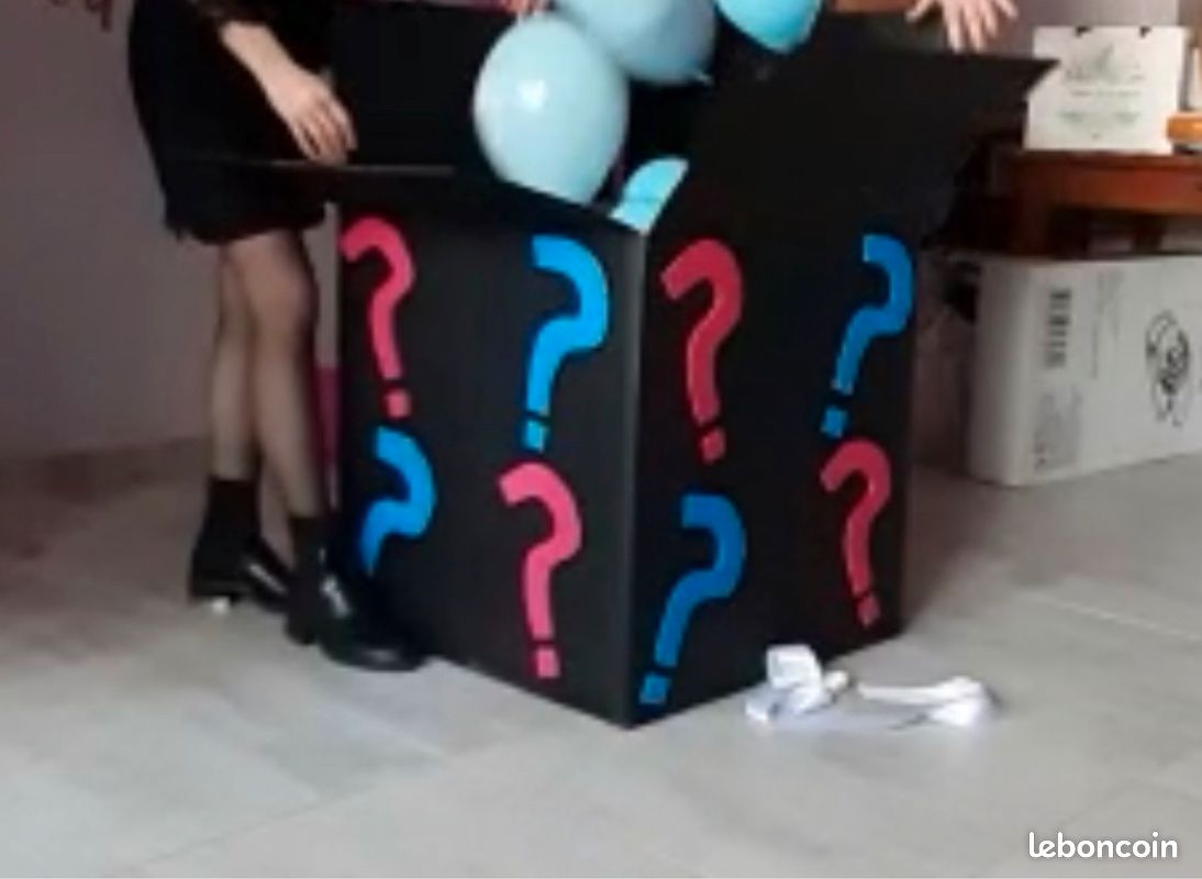 Donne carton révélation sexe/Gender Reveal - Décoration