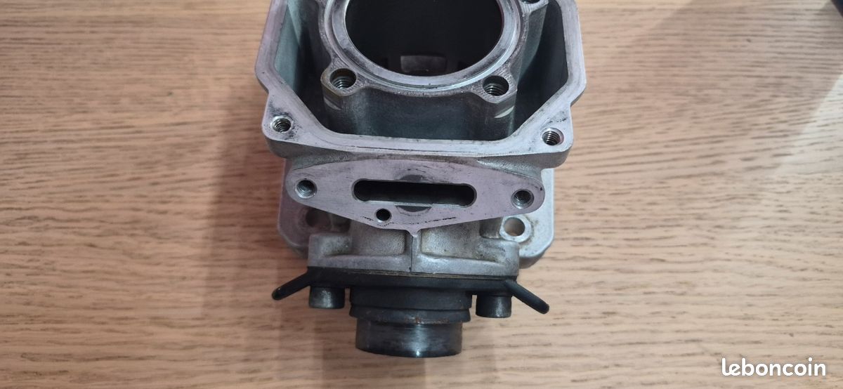Cylindre rotax max evo 50h (image 6)