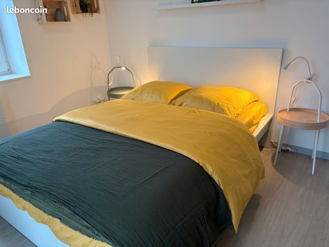 Appartement 1 pièce 24 m² · à Mulhouse · 24 m² · 550 €/mois