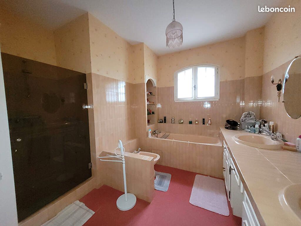 Maison 8 pièces 224 m² - Soyaux 16800 (image principale 7)