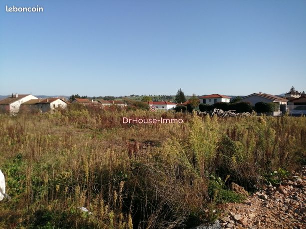 Terrain bas en basset