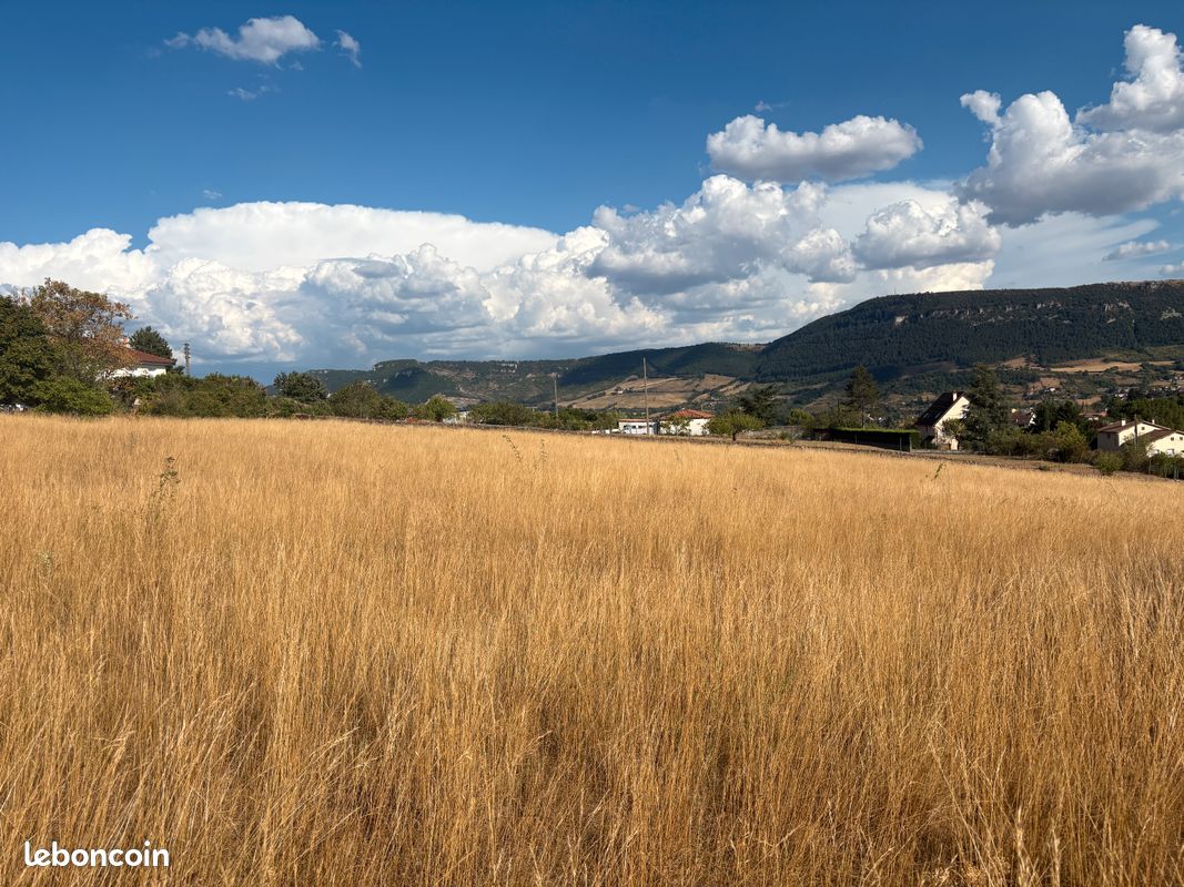 Terrain pour paturâge (image 1)