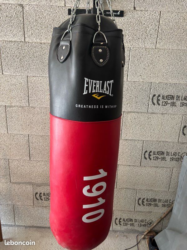 Sacco Boxe Everlast 1910 Punching Ball Sacco Boxe Everlast 1910