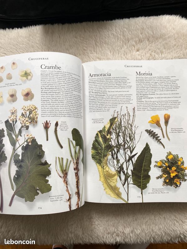 Coffret The Botanical Garden (image 4)