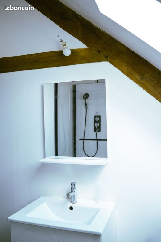 Propriété 15 pièces 443 m² (image 5)