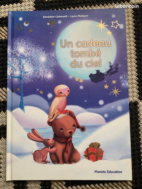 Un cadeau tombé du ciel (image 1)