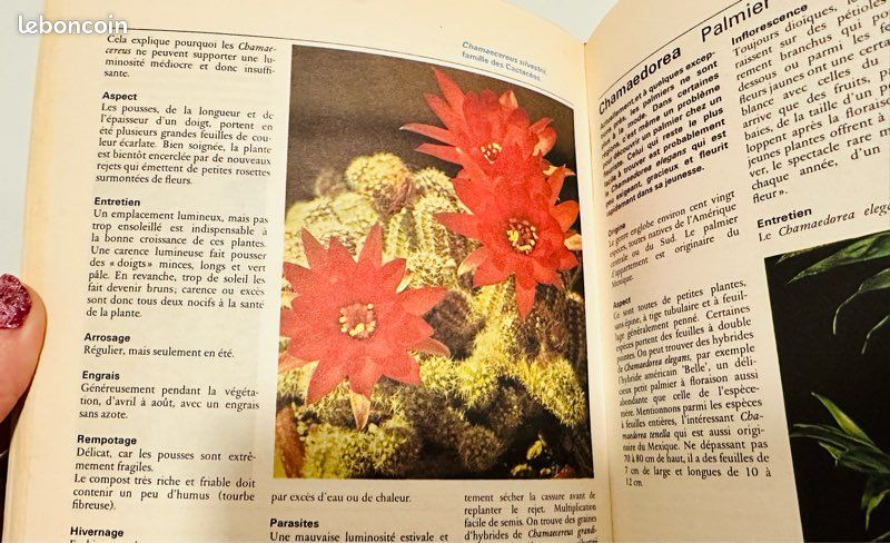 Encyclopédie des plantes d’appartement ENVOI GRATUIT (image 5)
