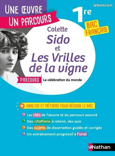 Colette Sido et Les Vrilles de la vigne analyse et méthode (image 1)