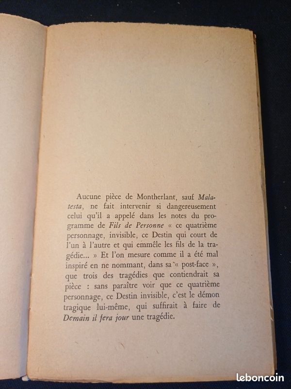 Montherland Bourreau de soi-meme de Michel de Saint Pierre (image 6)