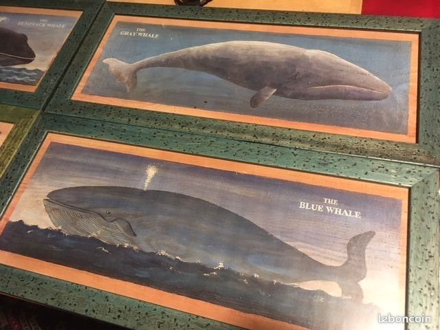 4 cadres Baleine (image 3)