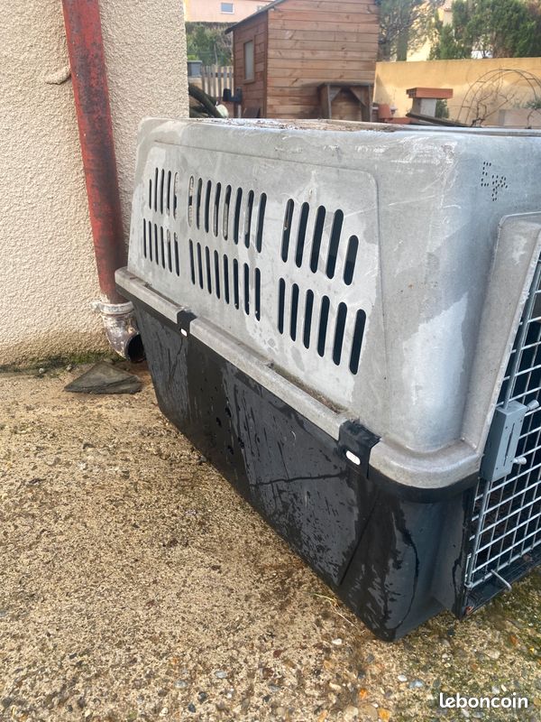 Caisse de transport chien (image 2)