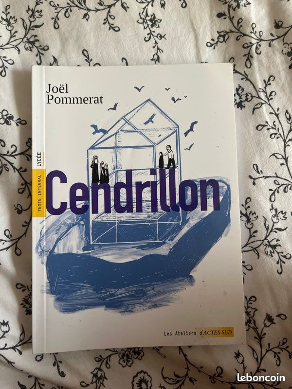 Livre cendrillon d’actes sud (image 2)