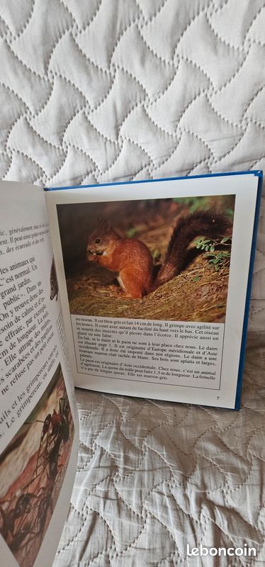 Livre Les Animaux De Nos Régions – Michael Chinery – 1991 – Très Bon état