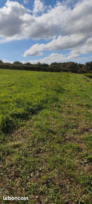 Vente de 2 terrains constructibles à Maulichères · 19 500 €