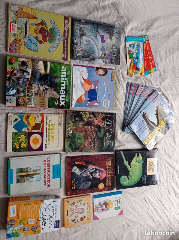 Environ 300 livres à 0,50 l'unité (image 15)