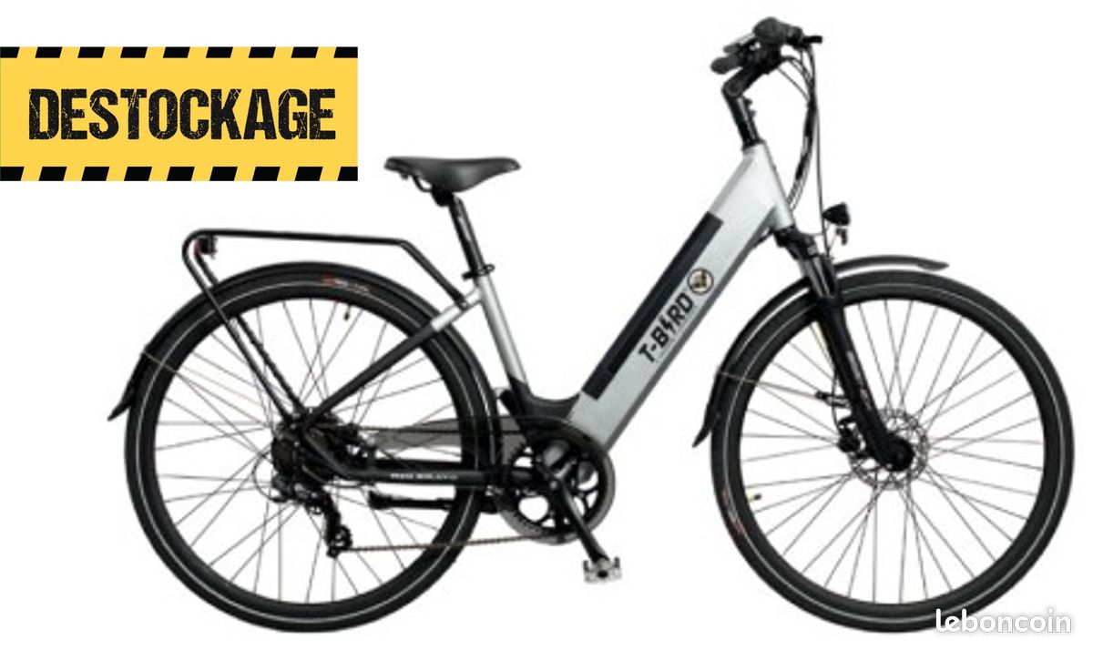 Riviera T Bird Velo Electrique Avis VTC électrique T-BIRD Riviera