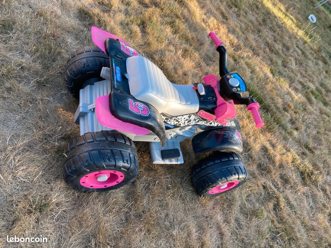 Quad peg perego 12v (image 3)