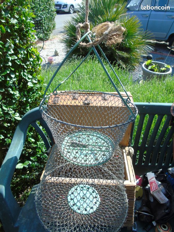 Collection (image 3)