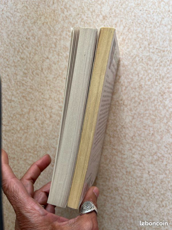 2 livres Laurent gounelle (image 5)
