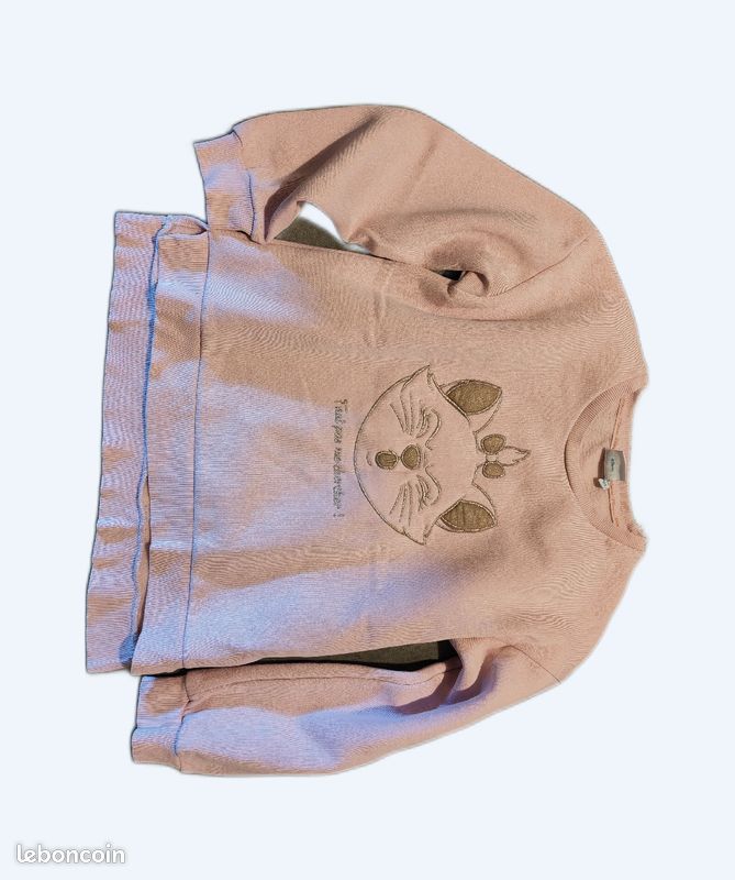 Pull fille Disney 12 ans (image 1)