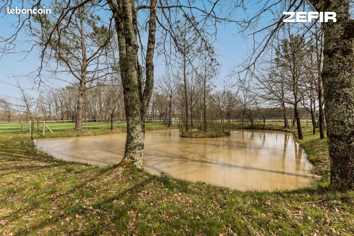 Maison 8 pièces 130 m² - Les Églisottes-et-Chalaures 33230 (image principale 13)