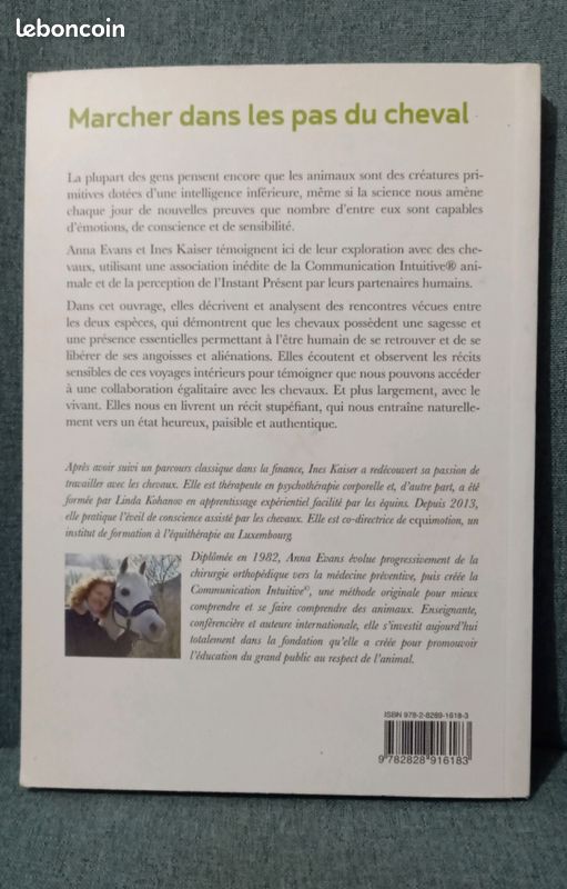 Marcher dans les pas du cheval (image 2)