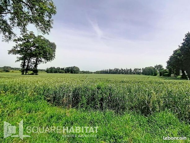 Terrain 1 614 m² Pipriac