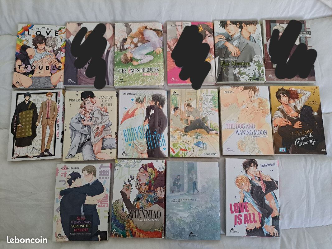 Mangas yaoi, 3 euros le tome (image 8)