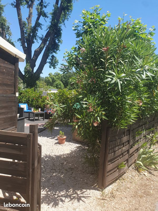Location chambre 2 pers dans mobil home camping avec piscine (image 11)
