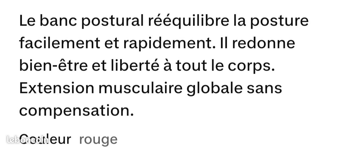 APPAREIL de POSTURE (douleurs dorsales ) (image 3)