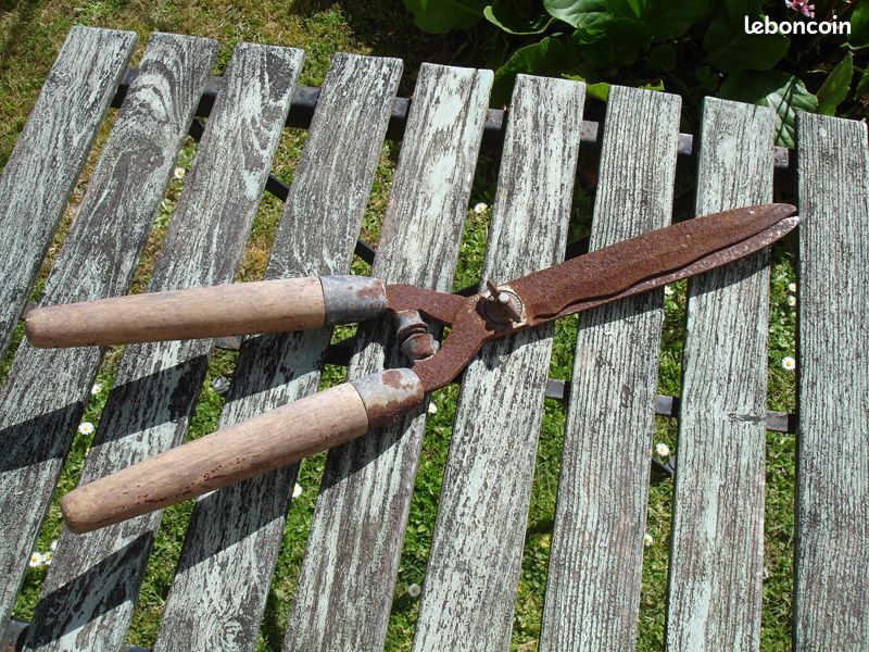 Taille haie cisaille (image 1)