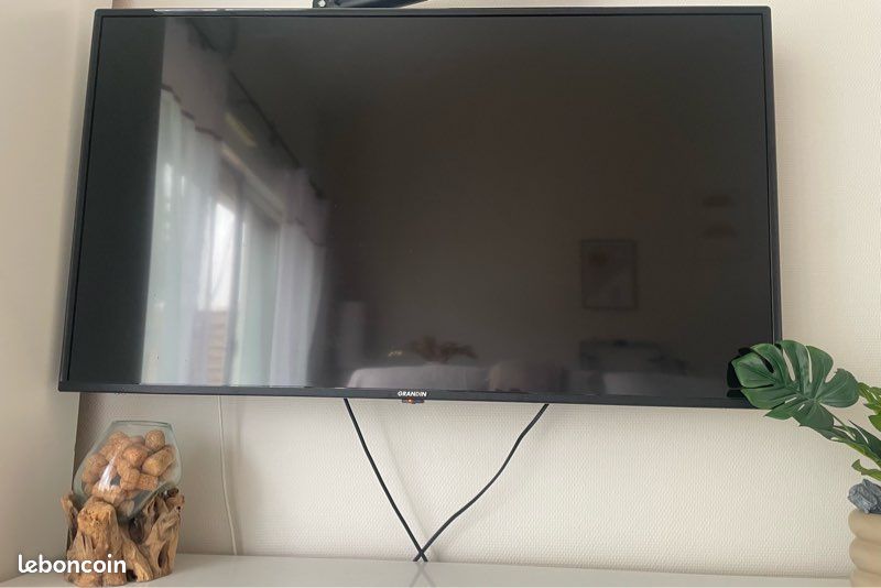 Très grande télé marque grandin (image 1)