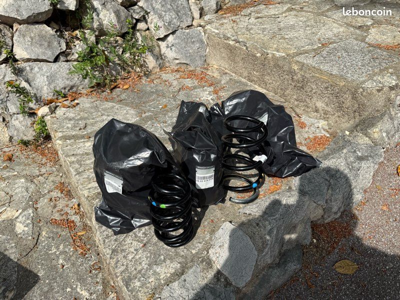 Ressort courts Clio 4 R.S (Pack R.S Trophy d’origine) (image 1)
