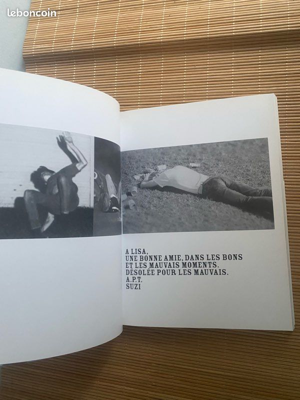 School spirit -pierre huyghe, douglas coupland , rencontre (image 19)