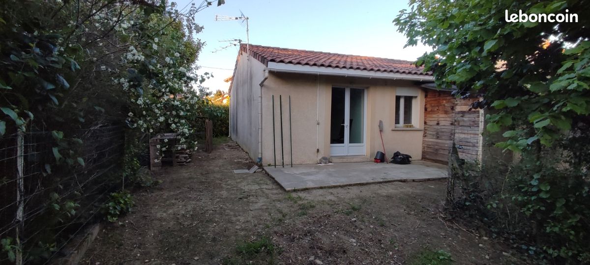 Maison a louer albi - 46 m2 - Surfyn