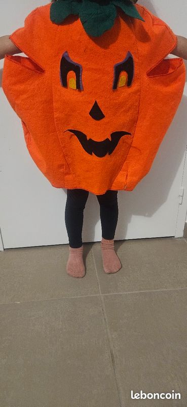 Costume citrouille (image 1)