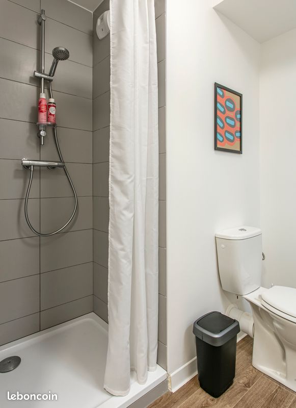 Studios a louer - Limoges 87000 Vanteaux-CHU-Mas Bouyol-Puy Rodas (image principale 2)