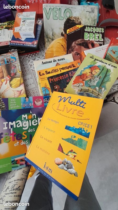 Gros lot de jouets, puzzles, livres, Lego, Barbie, micro karaoké, palmes, bottes de neige, jeux Meccano, valise éléphant : tout doit partir (image 15)