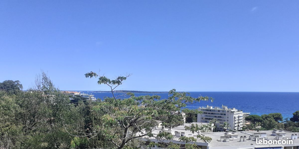 Appartement a louer cannes - 1 pièce(s) - 23 m2 - Surfyn