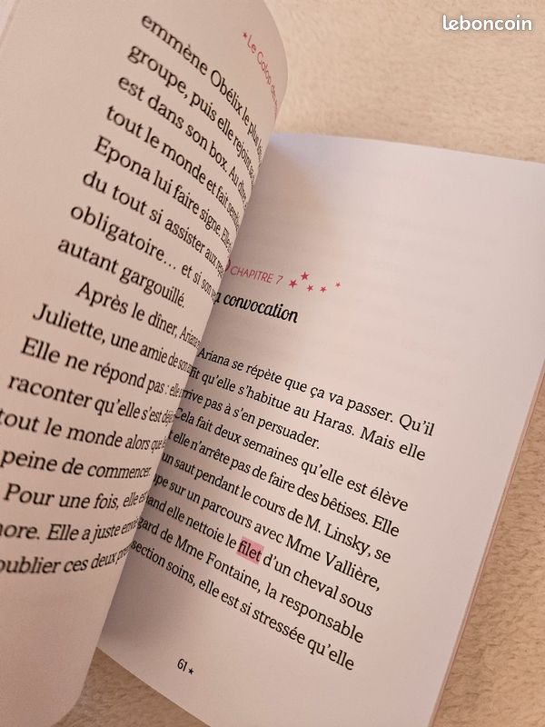 Livre le Galop des Étoiles (image 4)