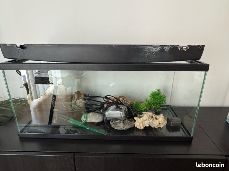 Aquarium (image 1)