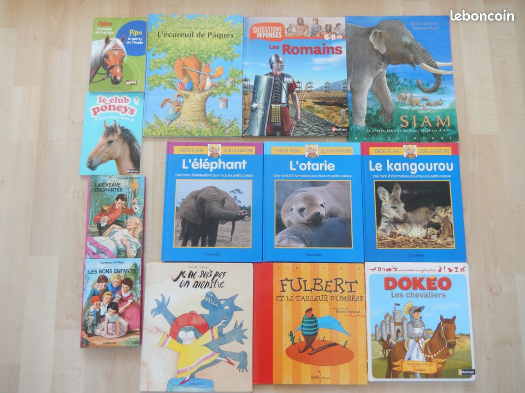Livres / albums / romans / documentaires enfants TBE (image 1)