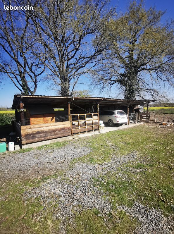Maison 6 pièces 169 m² (image 17)