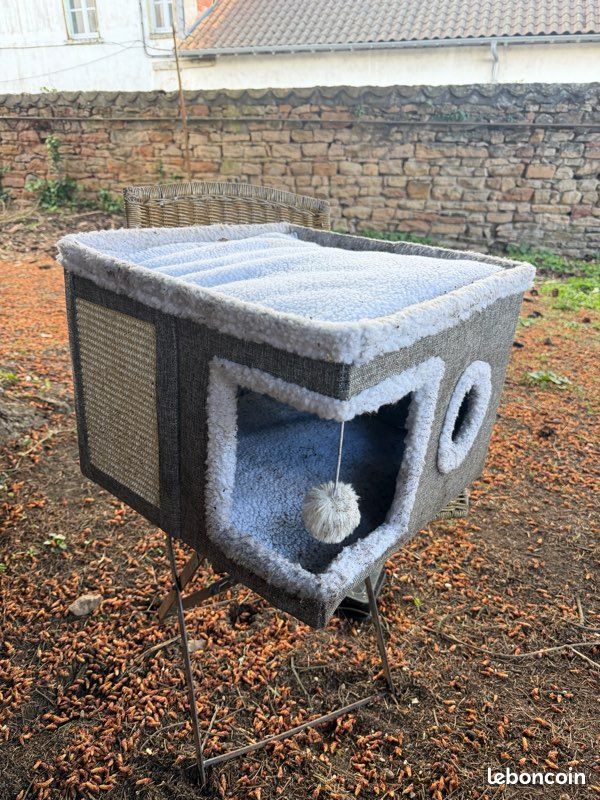Petite maison chat (image 1)