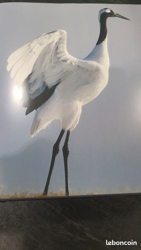 Livre le peuple migrateur (image 2)